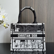 Christian Dior Shopping Bags